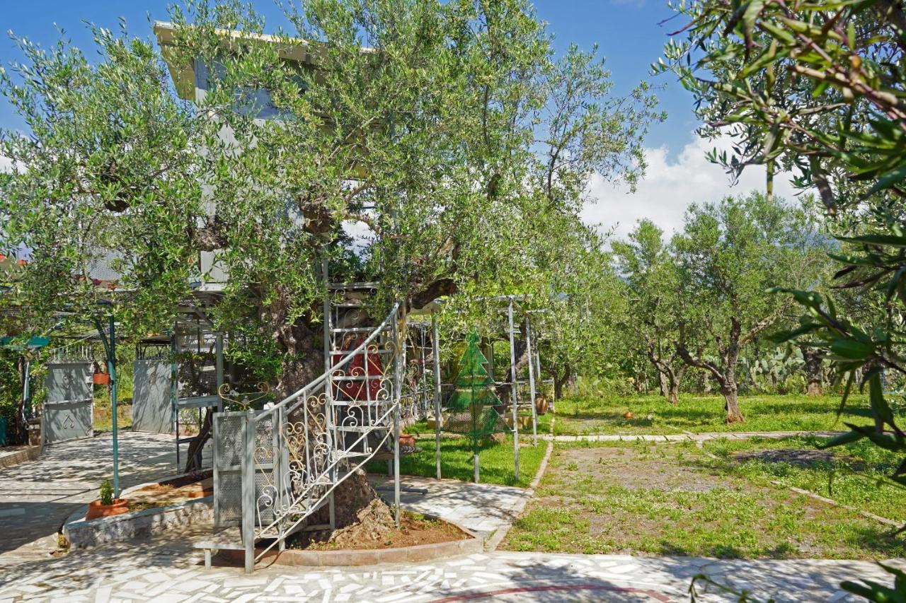 Villa Veni Olive House Kalamata Exterior foto